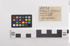 Etiketten zu Bronzegürtelblech (NHMW-PRAE-025142)